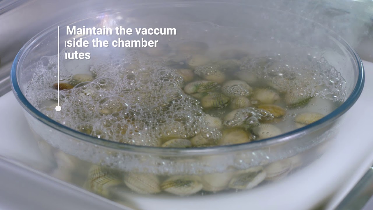 Cleaning molluscs with the Mychef iSensor vacuum packer YouTube