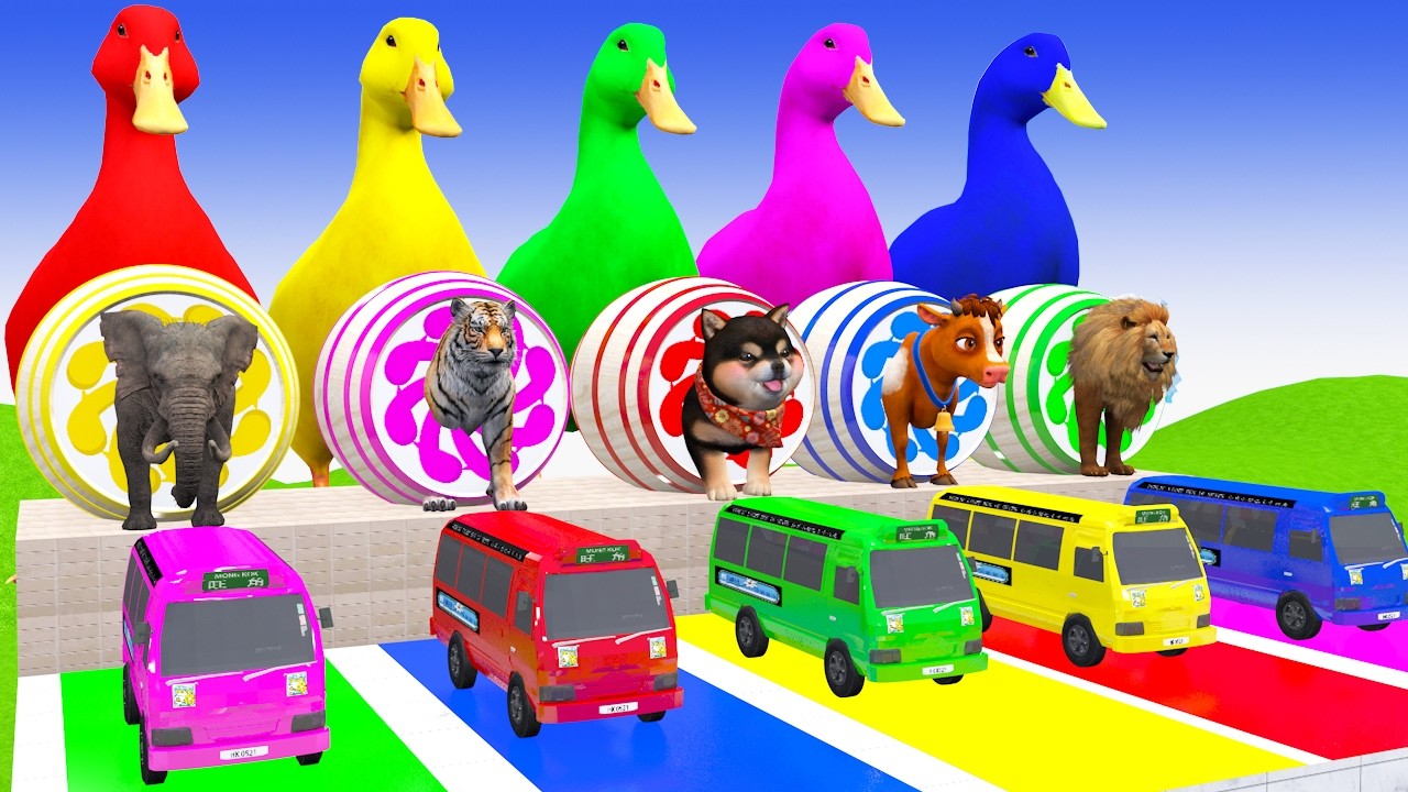 Long Slide With Cow Elephant Gorilla Hippopotamus 3d Animal Game Funny 3d Animals