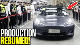 FINALLY! Tesla Giga Shanghai Production Resumed! (Tesla News) | Elon Musk News