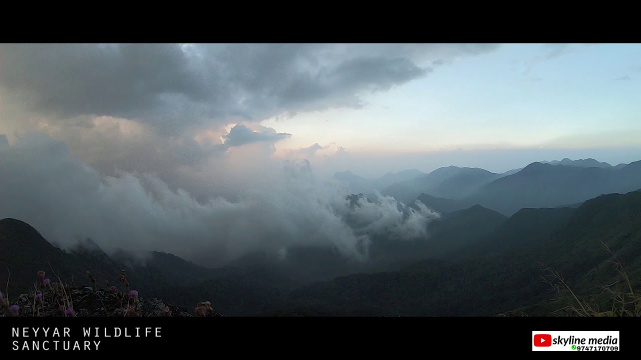 PEPPARA WILDLIFE SANCTUARY TVM skyline media