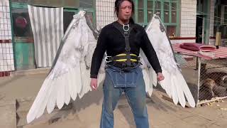 Making articulated wings (by Handy Geng)