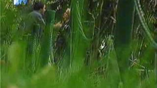 Ftv Dnevnik Smjene Sefova Na Kcus U