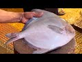 Excellent Big Pomfret Fish Cutting Skills Live In Fish Market | Fillets Fishing Cut