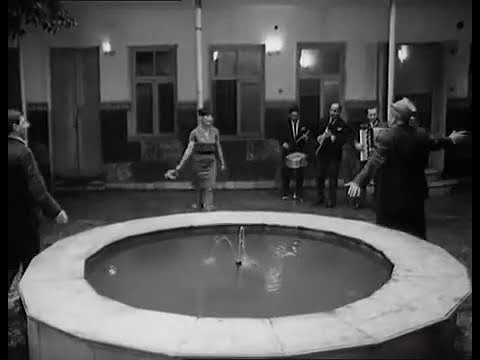 მოგიწევს გაგულავება(გასაგებიავო).