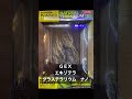 【GEX エキゾテラ グラステラリウム ナノ】買ってみた！