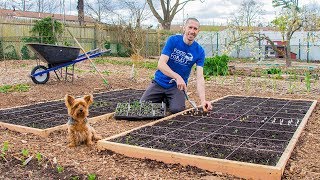 square foot gardening, how to grow more food in less space!