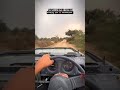 wildlife action ⚠️ #shorts #viral #wildlife #foryou #ytshorts
