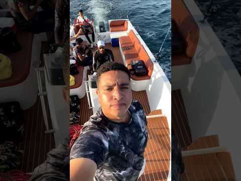 الصيد في اسكندرية حاجه تانيه ج١