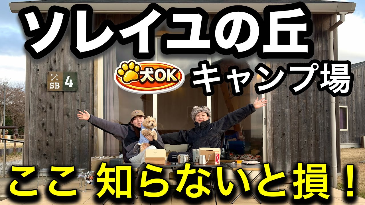 ソレイユの丘キャンプ場｜愛犬と泊まれるサンセットバンガロー徹底解説！