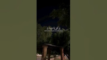 سورة المزمل بصوت عبد الرحمن مسعد