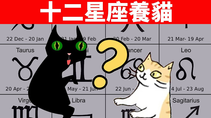 十二星座最适合养什么猫咪？据说超准，快看看你养到了没！【猫咪趣事EP15】 - 天天要闻