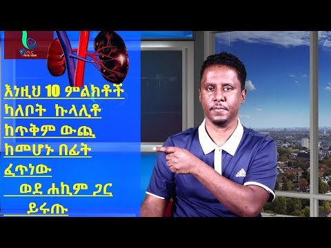 ቪዲዮ: እነዚህ ለፈጣን ቫካይ የአሜሪካ ምርጥ ከተሞች ናቸው።