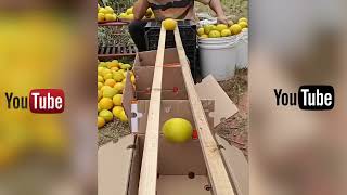 Unbelievable Workers Skills &amp; Crazy Fails Compilation | Construction Compilation #1 #fail #adamrose