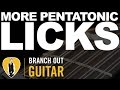 More Pentatonic Licks - Branch Out Guitar