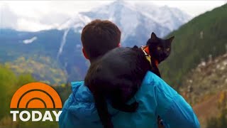 Purrrfect Match: Adventurer, Backpacking Kitty Take On Wilderness