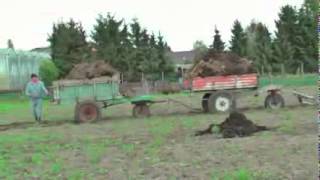 Hızlı Ve Öfkeli 7 Türkçe Dublaj Izle Tek Parça