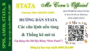 STATA Các câu lệnh nền tảng & Thống kê mô tả (Áp dụng cho Dữ liệu Bảng “Data Panel”) 28072023