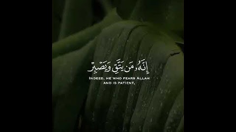 سورة يوسف | القارئ ياسر الدوسري