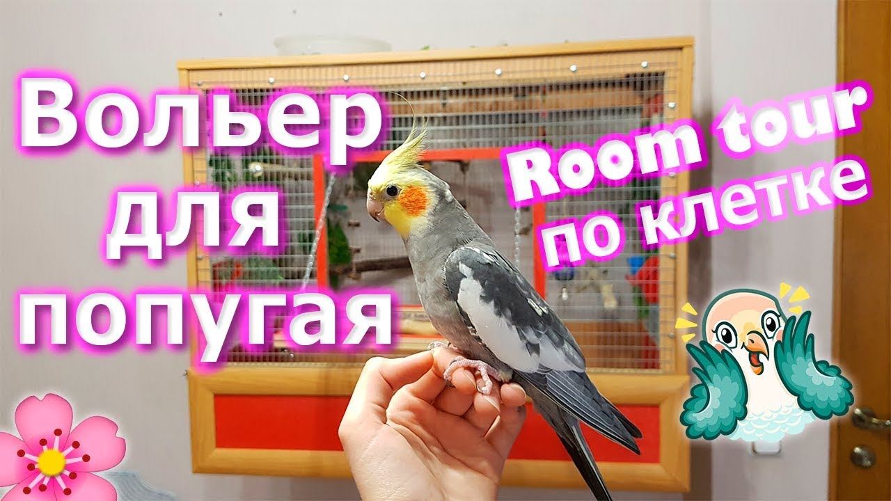 ОБЗОР ВОЛЬЕРА ДЛЯ ПОПУГАЯ. Рум Тур клетки попугая кореллы. | Рокки Life