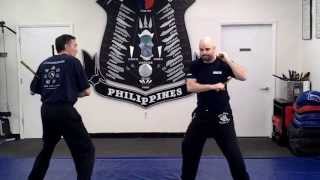 Scott Shields Kali Double stick training