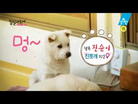 [Coming Soon] 잘 살아보세 온라인 티저 ver.2_채널A_잘살아보세