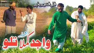 Top Comedy Video 2025 || WAJID kamla te TALLU new funny video