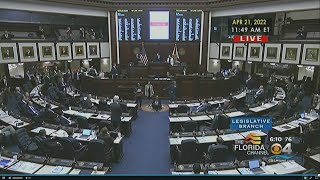 Florida Legislative Black Caucus Fights Back Against Gov. DeSantis' Redistricting Map