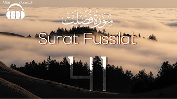 8D Quran | Surat Fussilat (Explained in Detail) | سورة فصلت | Mishary Alafasy | مشاري العفاسي