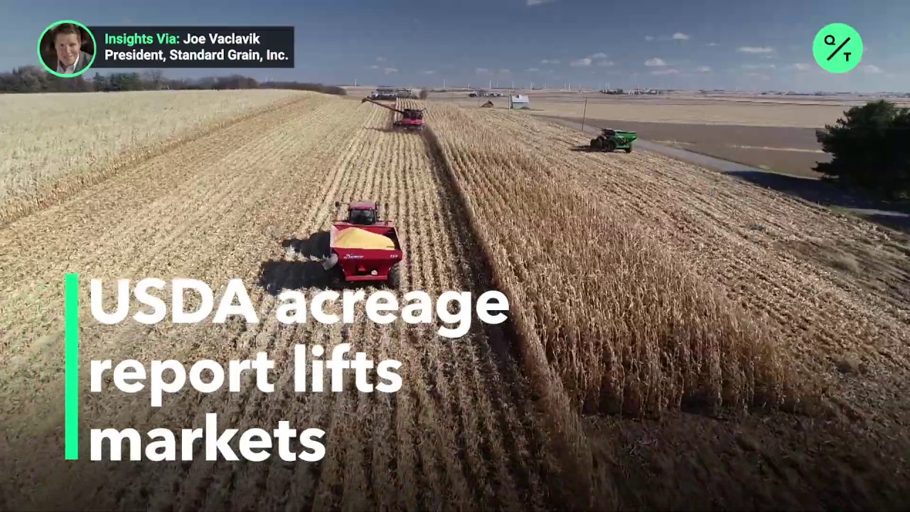 Markets rally after friendly usda crop report youtube