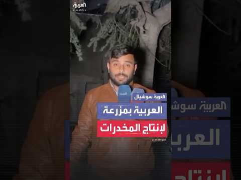 مراسل العربية يكشف النقاب عن معمل للمخدرات في مزرعة محمد حمشو