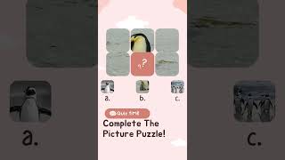 🐧 Picture Puzzle Quiz for Kids | Guess the Missing Piece | Fun Brain Game! Wealth