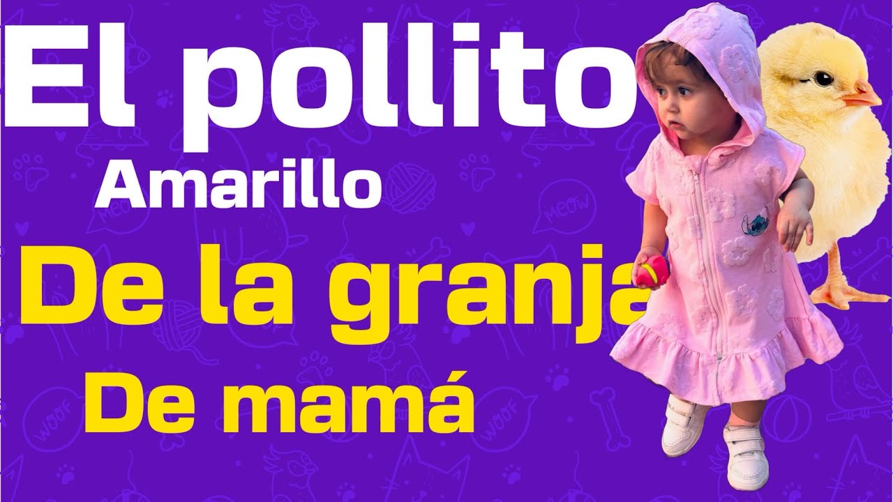 el pollito AMARILLO