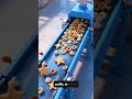 The Machine Behind Breakfast Cereal