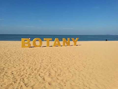 Botany Beach Resort Pattaya