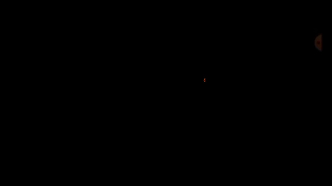 Бодо бородо