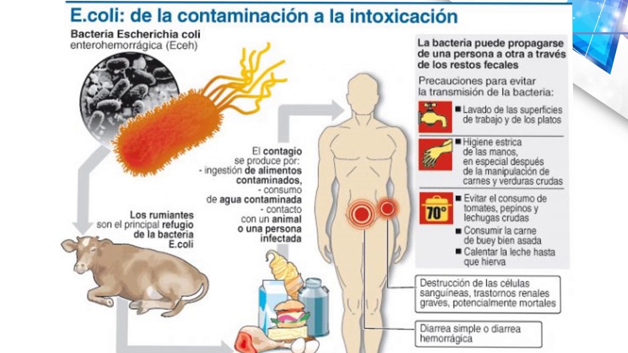 Alimentos para controlar la diarrea