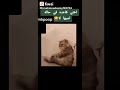 تبليا واعرة 