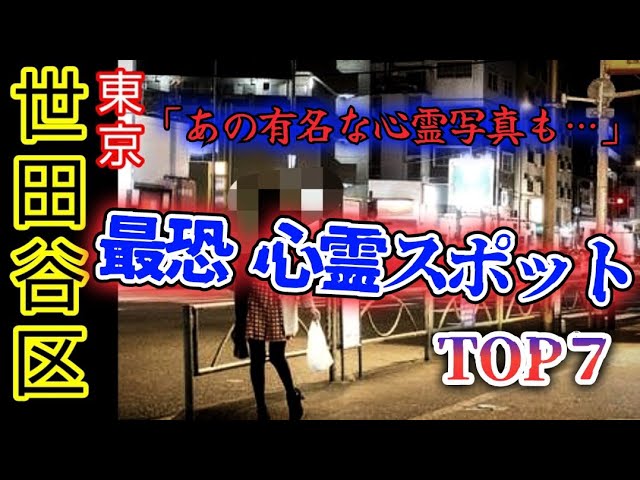 猫ひた 石渡真修 グッズ ５点 セット 猫のひたいほどワイド #1339 リポート大賞・石渡真修「才能あり