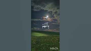أذن للذين يقاتلون بأنهم ظلموا وإن الله على نصرهم لقدير || المنشاوي || سورة الحج🧡