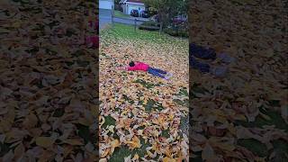 First autumn 🍂  here in 🇨🇦🇨🇦🇨🇦