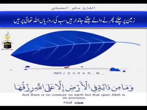 WhatsApp Quran status video