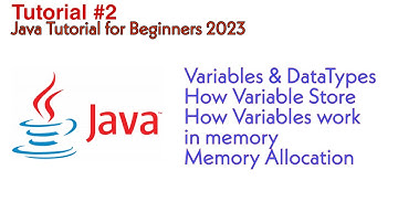 Variables & DataTypes | How Variable Store | How Variables Work in Memory  | Java Tutorials | 2023