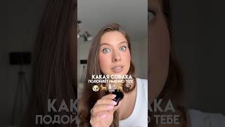 Какая собака идеальна для тебя? Пенка для лап WB арт: 404201030