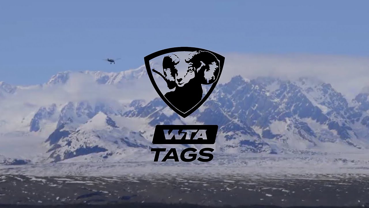 Обзор WTA TAGS | Приключения в мире трофеев