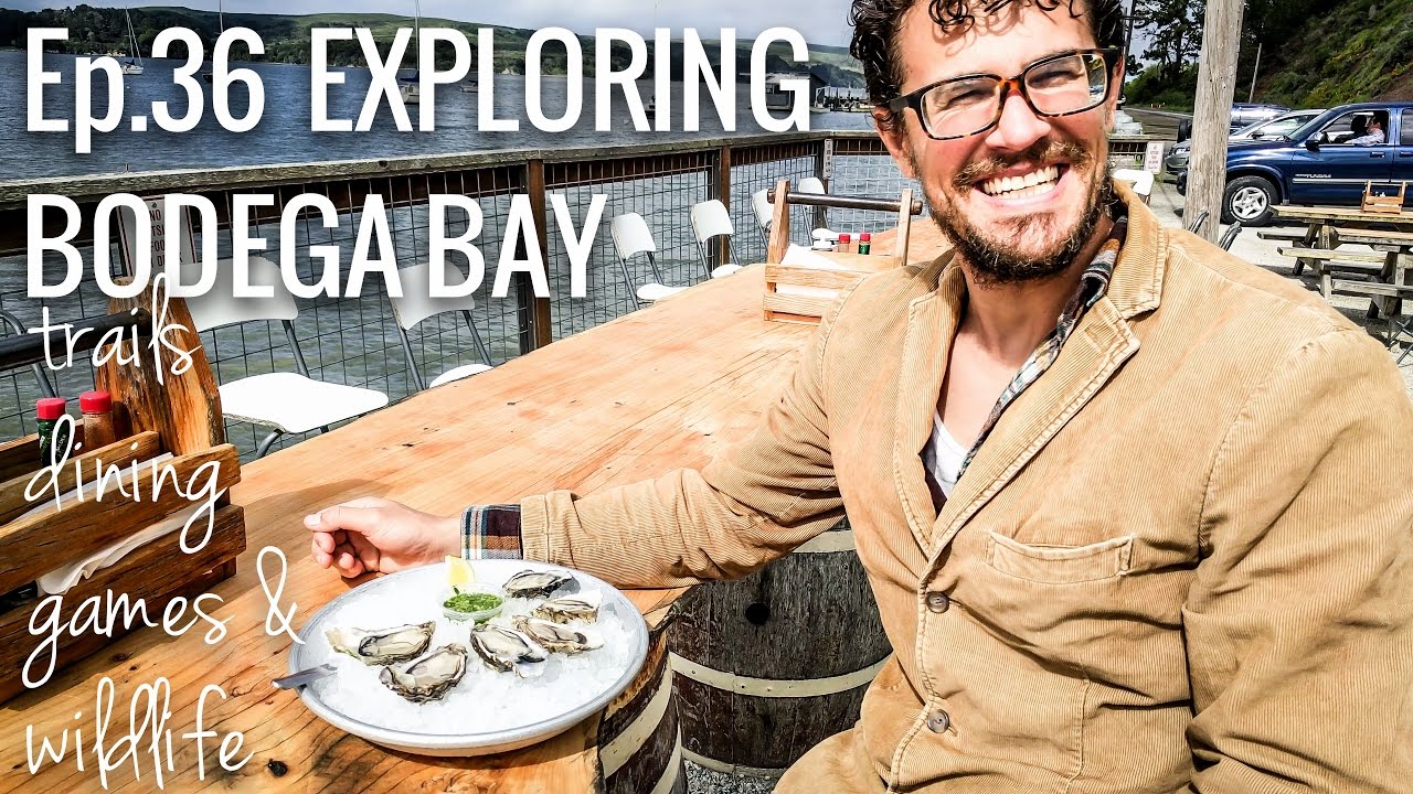 [RV Life & Travel] Ep. 36 Exploring Bodega Bay || A Week of Food, Hikes, Games & Wildlife