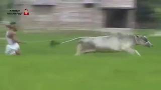 কোনতে গরু আইলরে, জমির ধান সব খাইলোরে - মজিবর ও টুকু Konte Goru Ailore - Mojibor And Tuku