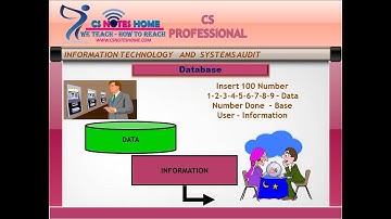 free cs professional  video class information technology and system audit Databases Management