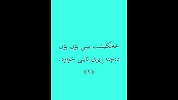 سورة العصر... ماهیر المعیقلي ... گوێ لە قورئان بگرن ❤️