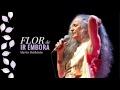 “Flor de Ir Embora” na voz maravilhosa de Maria Bethânia.