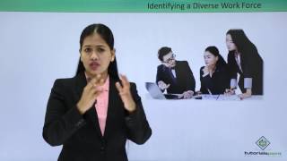 Soft Skills - Workplace Diversity